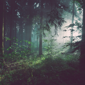 提升专注力白噪音