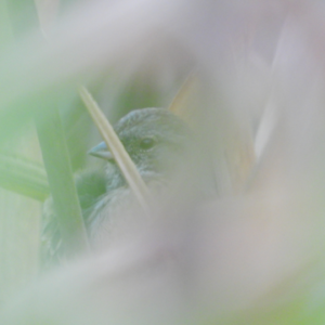 Vol.25 年终总结了吗：驾驶2023的破车