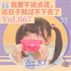 Vol.067 我要不说点谎，这日子就过不下去了