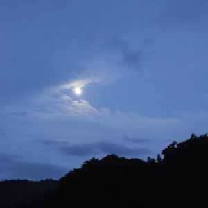 Vol.000发现日常生活中的闪光点