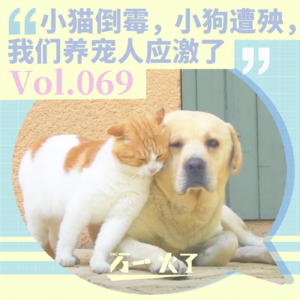 Vol.069 小猫倒霉,小狗遭殃,我们养宠人应激了