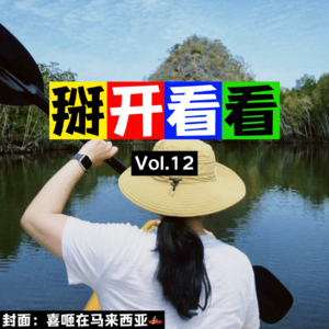 Vol.12 一生要强的东亚人：啥都能学，没学会玩