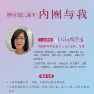 光里见E14｜Livia老师：人际关系内圈与我，小圈子带来大改变