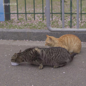 026 这地球离了三分钟热度的人可怎么转啊！