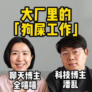 潘乱1：找不到工作的年轻人，和互联网大厂里的「狗屎工作」