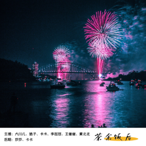 059.过年了，妈妈说没我可以没猪不行