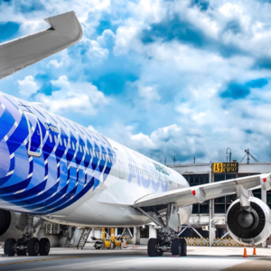 061. 春意融融宜远行