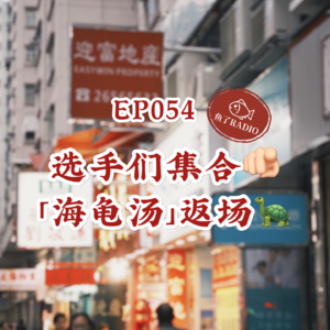 EP054 | 老友海龟汤:把猫眼堵上再听这期内容哦