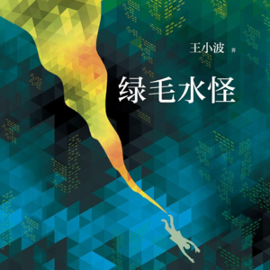 王小波《绿毛水怪》Part 1
