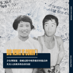 少女绑架案：侦破过程中细思极恐的疑点和先关人员诡异的自杀失踪