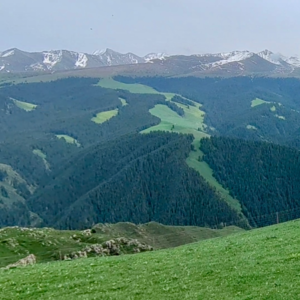 8. 《阿勒泰》与新疆7天狂奔，雪山草地、河谷湖泊、乌苏和羊肉串