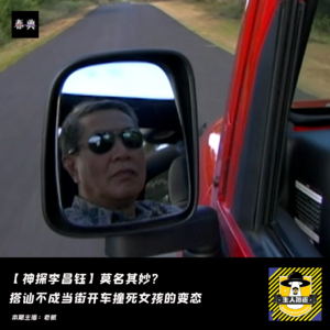 莫名其妙?搭讪不成当街开车撞死女孩的变态丨神探李昌钰