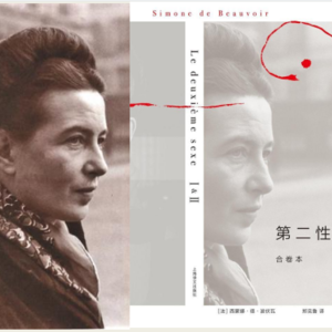 vol.16 波伏娃+开放式关系：持续51年的人生实验