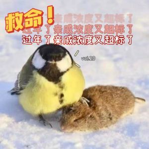 vol.020丨救命，春节到了亲戚浓度又超标了！