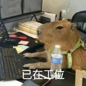 No.88 初入职场的我们：放下助人情结，学会阴阳怪气 | 中英美不同“班味”的社畜