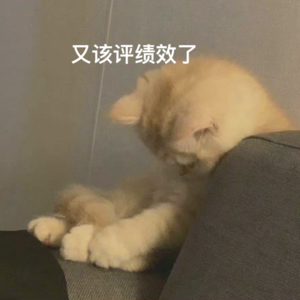 ep17 互联网大无语之绩效考核