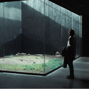 41.记忆:睡或不睡,这不是一个问题