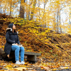 8｜在新奥尔良听吉普赛人算塔罗牌，在自我了解的路上前进了一小步