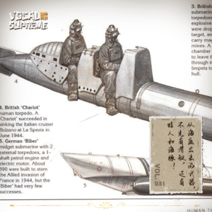 从海底出击的不光有潜艇,还有蛙人和海豚!
