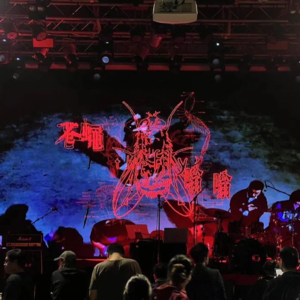 2023年12月3日行走的耳朵（1）新血液老苍蝇30年黑胶复出