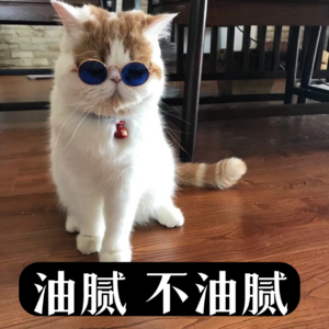 油腻不油腻