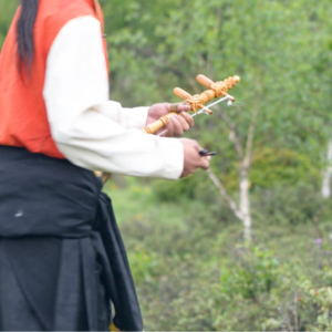 「第65件小众乐器」酷毙帅呆的藏地弦子舞