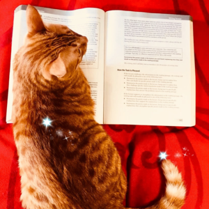 雅思口语Part 1高分语料 | Rain 你喜欢下雨吗？