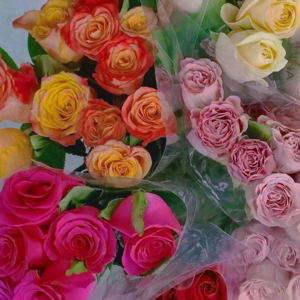 VOL17.成都合租记：2023年搬完三次家以后，侯姐实现独居生活！