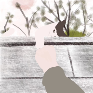 024读书分享：打碎锁链，一切都是新的开始