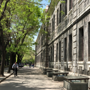 108 非升即走，苦味的糖——与三位高校“青椒”的对谈