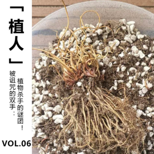 Vol.06 【植人】被诅咒的双手：植物杀手的谜团！