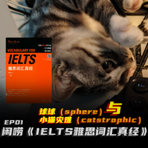 EP01 球球(sphere)与小猫灾难(catstrophic)