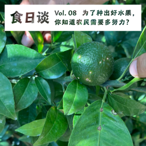 为了种出好水果，你知道农民需要多努力？| 食日谈 Vol.08