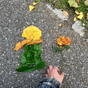 Vol.17 读书歌单 “应向书籍安放灵魂”