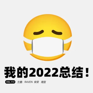 vol.113 我的2022总结 - 不完全淑女