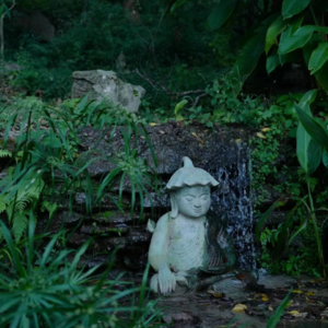 Vol.2 精神有问题？00后女大躲进香港深山用禅修调理调理！（上）