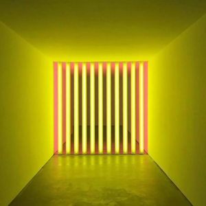 016 极简主义艺术家 丹.弗莱文