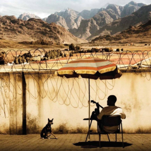 002 耻:这就是南非,这就是南非正在上演的故事