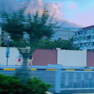 EP40|2022观影-人类的悲欢在电影的矩阵中