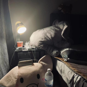 22 一个人住第一年