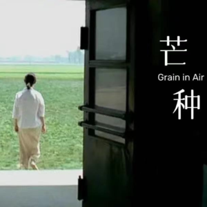 【邂逅时节-芒种】徘徊在端午前后的芒种和一部名为《芒种》的电影