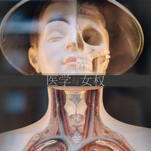 呆bi专栏：女权与医学