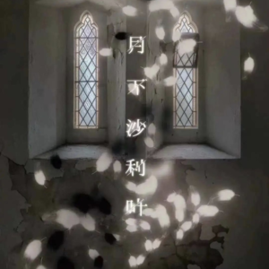 086剧本杀《月下沙利叶》我真的不知道那个叫叶丽莎的姑娘是谁