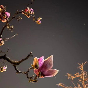 拆个盲盒,拥抱亡灵分几步?