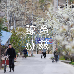 Vol.101 盛产熊猫、樱桃、烧烤的雅安和九襄，只去一次怎么够？