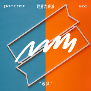 数据九级浪 | 程序员年届40,除了贡献社会,还能做什么?