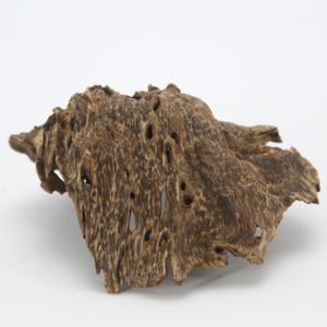 玩香笔记19：沉香沉水和不沉水的区别