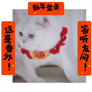 【番外】新年登录，答听友问！