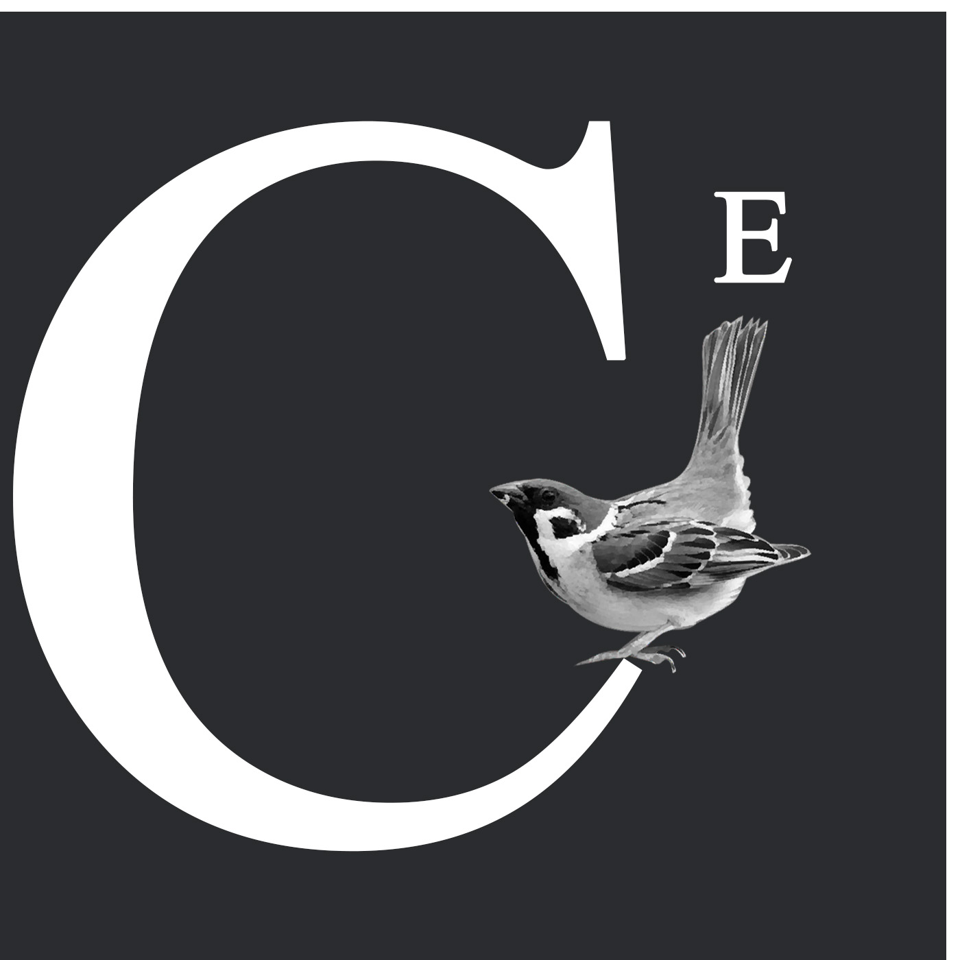 episode-cover