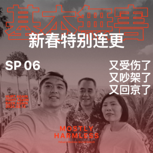 SP06 过年连更：又受伤了，又吵架了，又回京了